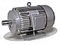Y series three phase electric motor